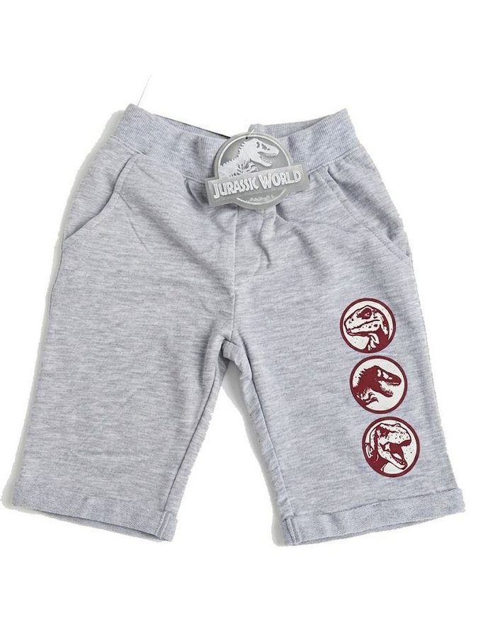 Jurassic World Shorts Jungen Shorts kurze Hose Kinderhose Sommerhose 4-8 Jahre Kinderhosen kurz Jungen Jurassic World von Jurassic World