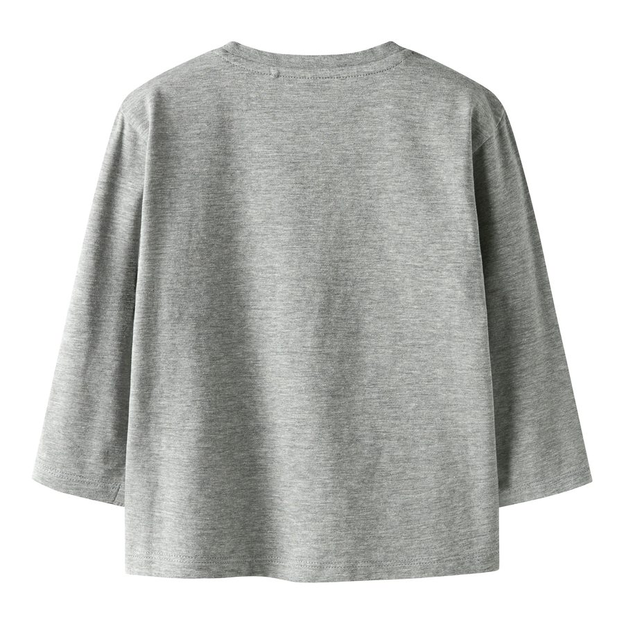 Name It Shirt langarm Tiger
