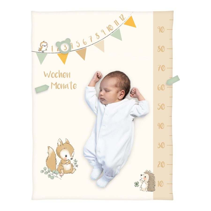 Baby Best Babydecke Microfaserflausch Meilenstein 75x100 cm