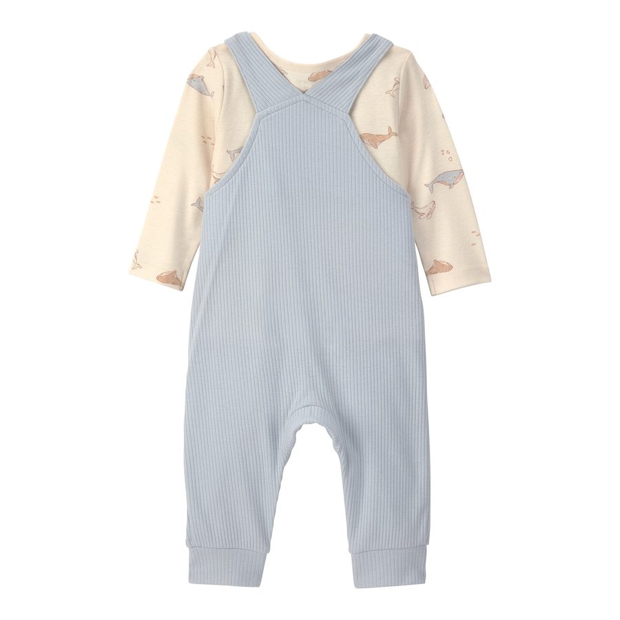 Carter's 2-tlg. Set Shirt langarm und Latzhose Wale Rippqualität von Carter's