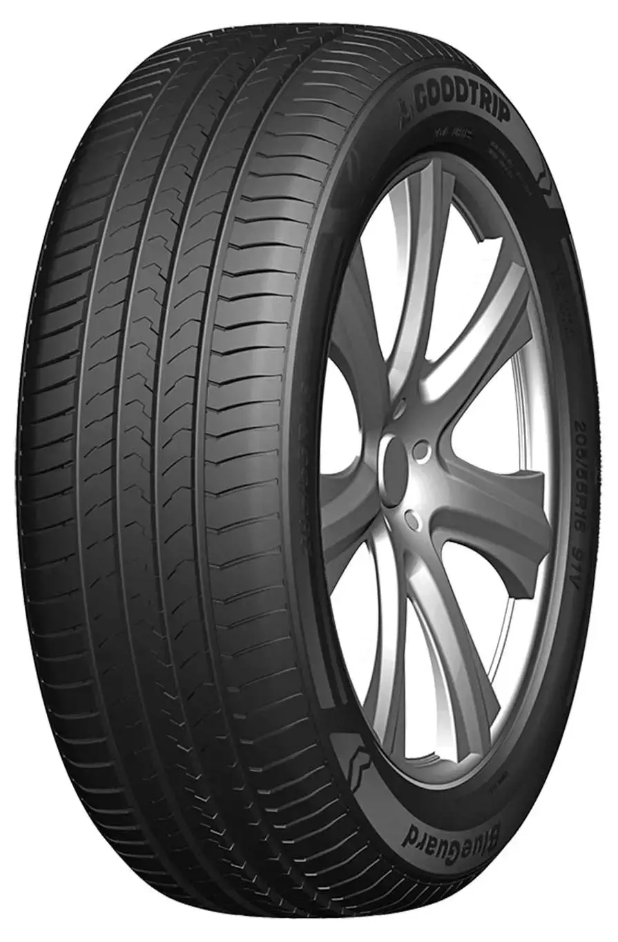 205/55 R16 91V BlueGuard von Goodtrip