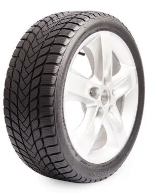 185/60 R15 88H Winter Lander von Landsail