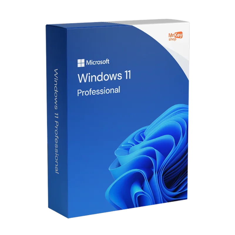 Microsoft Windows 11 Pro Professional
