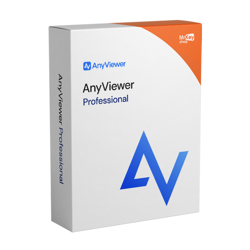 AnyViewer Professional