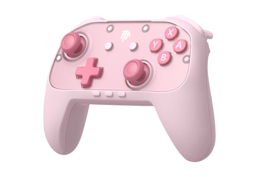 ANYSUN S10C Switch 2 Controller mit Wake-up, In-Game Chat, Controller (9-Axis Motion, Native Programmiert Funktion, Switch 2 Pro Controller mit 1000mAh Batterie &Magnetische Frontplatten) von ANYSUN