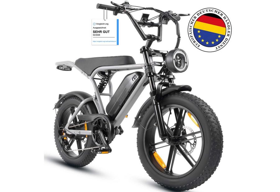 Vankel E-Bike Cityrad E6-3.0 Elektrofahrrad 20” x 4 Damen u. Herren Pedelec 720Wh Max.108KM, Heckmotor, 720 Wh, Pedelec, Elektrofahrrad E-Mountainbike für Erwachsene, E-bikes