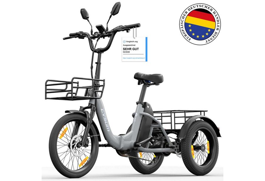 Vankel E-Bike AG1 3 rad Faltbares Damen u. Herren E-Fahrrad 960WH Pedelec, 120 km, Kettenschaltung, Heckmotor, 960 Wh, Faltbares 3-Rad-E-Bikes 250W, 48V 20AH Akku, 20"×3.0" Reifen