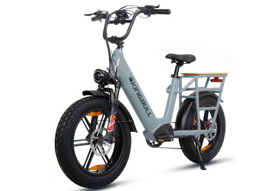 Vankel E-Bike Cityrad Cargo Damen u. Herren 20"x4" 960Wh 48V, max.100km Hydraulikbremsen, Kettenschaltung, Heckmotor, 960 Wh, (Beleuchtungsset mit Batterieladegerät, Batterieschlüssel, Werkzeug), Lasten-Elektrofahrrad mit Fat-Reifen, großem Transportträger