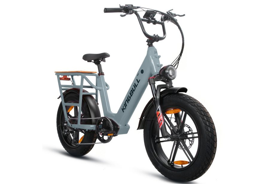 Vankel E-Bike Cityrad Cargo Damen u. Herren 20"x4" 960Wh 48V, max.100km Hydraulikbremsen, Kettenschaltung, Heckmotor, 960 Wh, (Beleuchtungsset mit Batterieladegerät, Batterieschlüssel, Werkzeug), Lasten-Elektrofahrrad mit Fat-Reifen, großem Transportträger