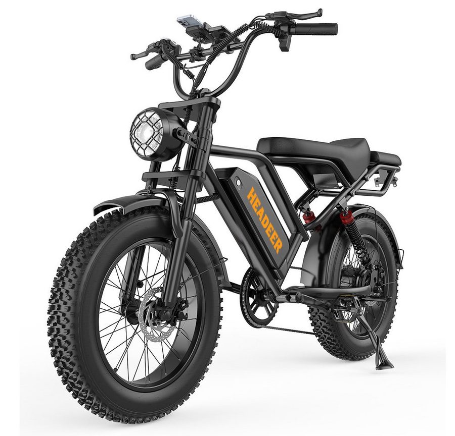 WHEELYOU E-Bike Mountainbike Herren u. Damen E-Fatbike 20 Zoll 250W 960Wh 80km Scheibenbremse, Kettenschaltung, Heckmotor, 960 Wh, (Beleuchtungsset mit Batterieladegerät, Batterieschlüssel, Werkzeug), Scheibenbremse Vollfederung LCD-Display 150kg Zuladung 39,5kg