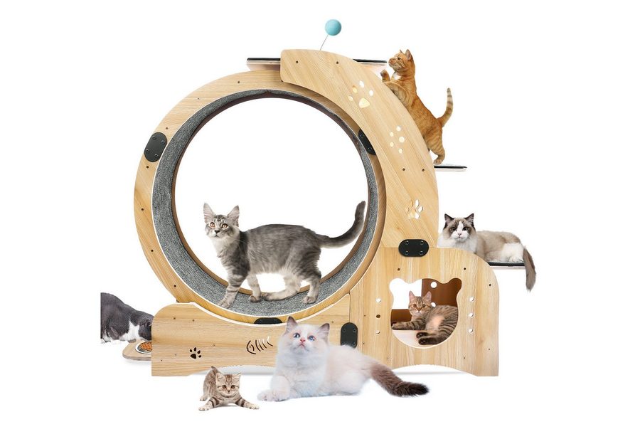 Blossom Tier-Intelligenzspielzeug Tierlaufrad Katzenlaufrad XXL mit extra langen Pedalen 45,5 cm leises, Holz, Indoor Laufrad für Katzen, Katzentrainer Fitnessrad aus Massivholz von Blossom