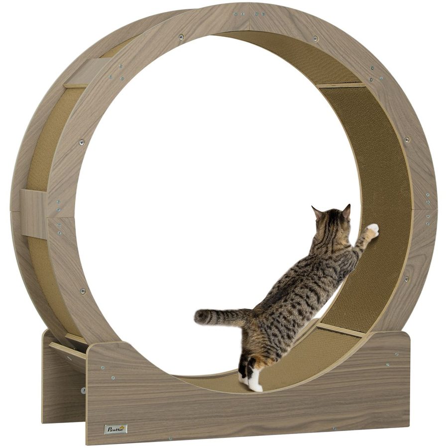PawHut Katzenlaufrad Laufrad für Katzen 91 cm mit Bremse, Kratzbrett, Walnuss von PawHut