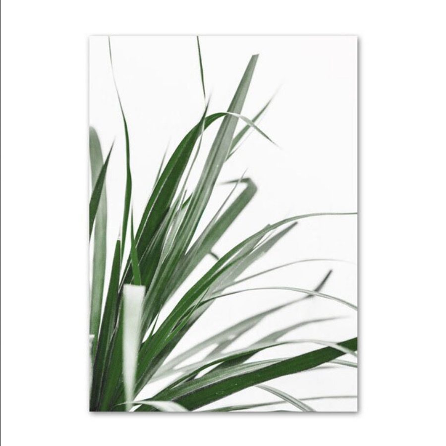 TPFLiving Luxus Poster Leinwand / Blumen und Blätter in Grün und Weis / 15 Motive in 16 verschiedene Größen - OHNE Rahmen - Modell TPFL-LW-42-ME - 20x25cm von TPFLiving
