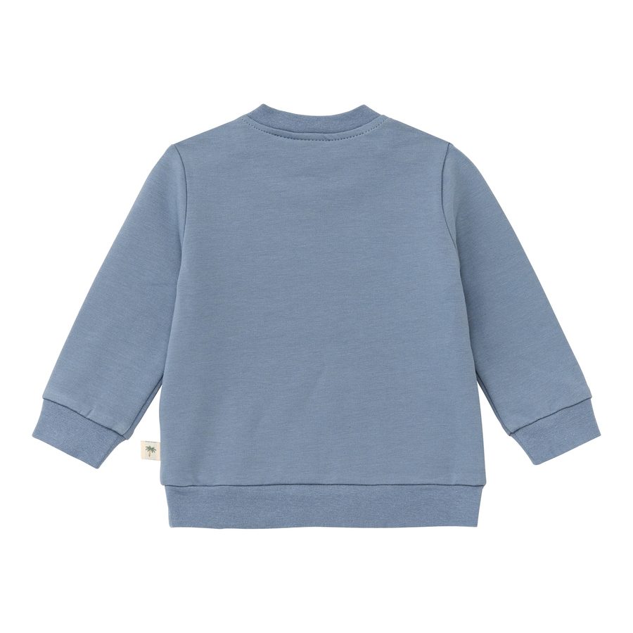 Bornino Wild Nature Sweatshirt Dino