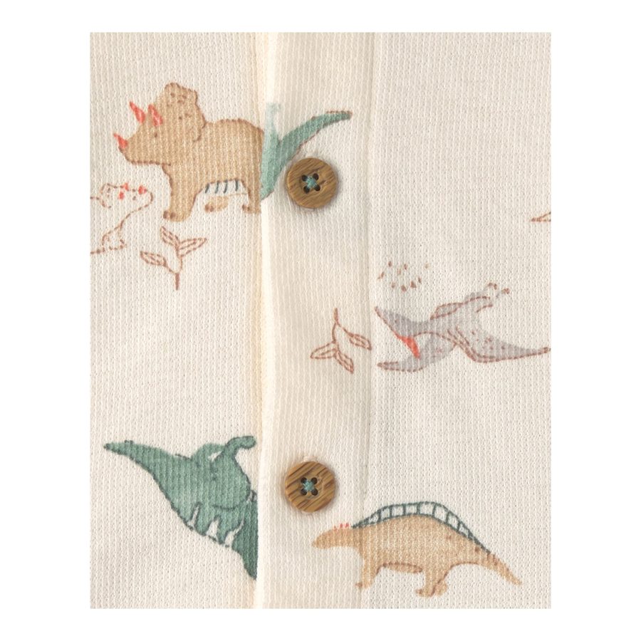 Carter's 3-tlg. Set Body kurzarm, Sweatjacke und Jogginghose Dinos Ringel von Carter's