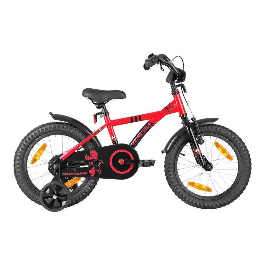 Prometheus Bicycles Kinderfahrrad Hawk 16 Zoll von PROMETHEUS BICYCLES