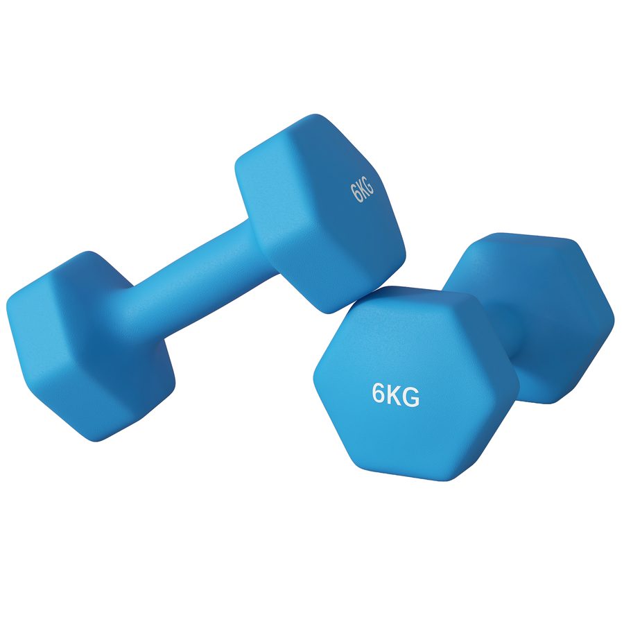 SPORTNOW Set 2 Hexagonale Hanteln 2x6 kg aus Metall und Kunststoff, 2 Hantelgewichte mit rutschfestem Griff, 22x10x10 cm, Blau   Aosom von SPORTNOW