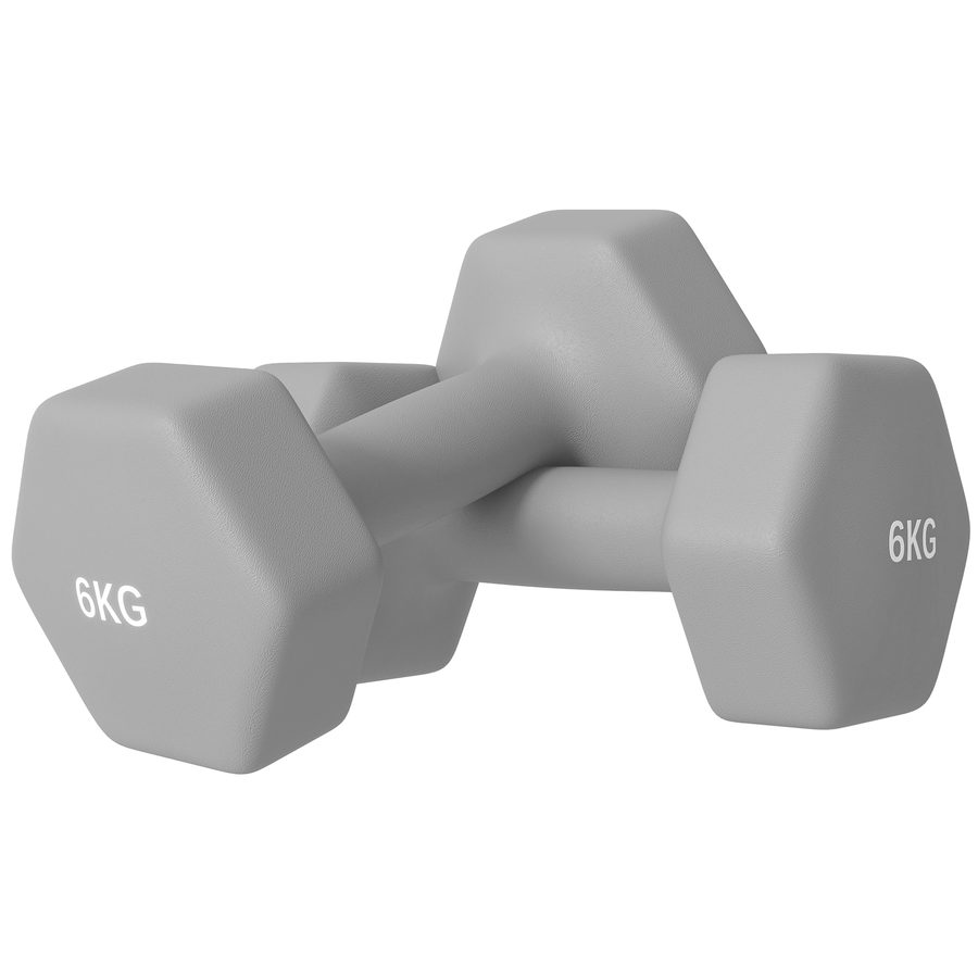 SPORTNOW Hantelset, 2er Set Hanteln mit Gewichten, Kurzhantelset aus Gusseisen, 2 x6 kg Kurzhanteln für Männer und Frauen, Dumbbell Set für Zuhause, Fitnessstudio, Krafttraining   Aosom von SPORTNOW