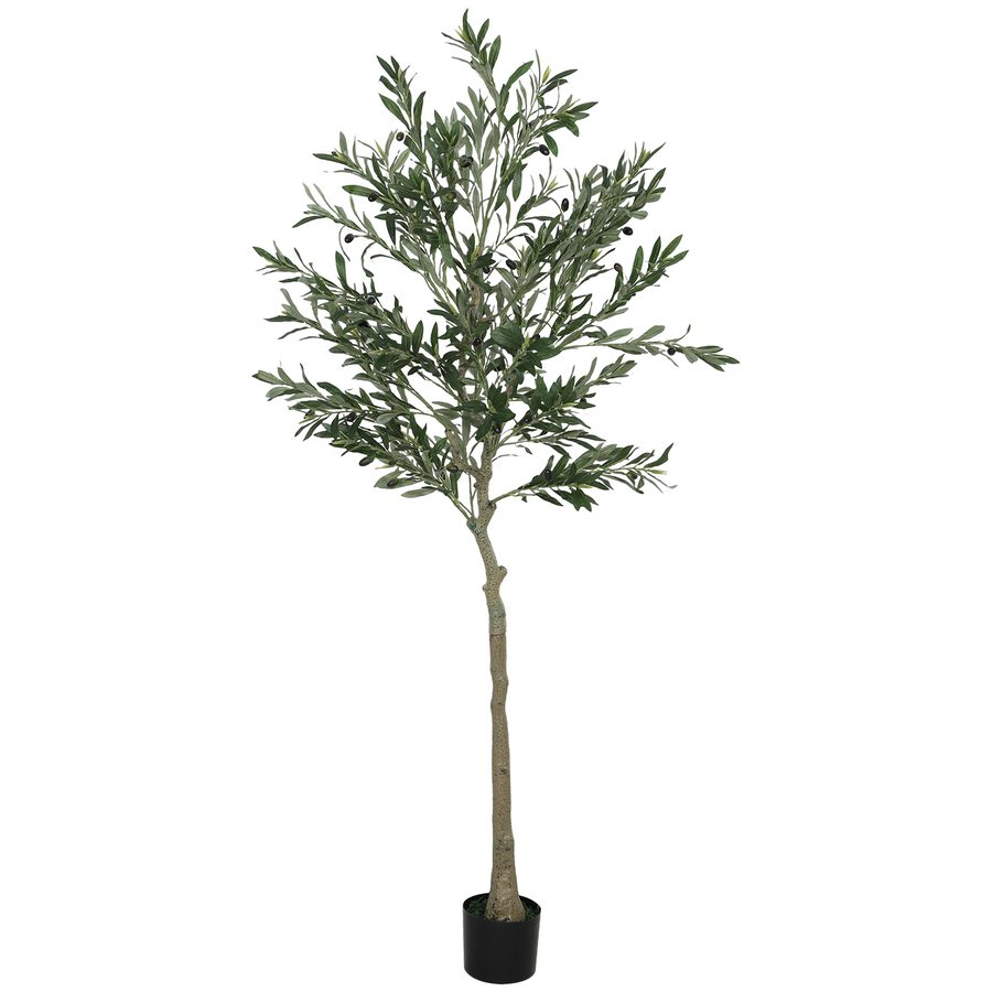 HOMCOM Künstlicher Olivenbaum groß 180 cm Kunstpflanze, Plastik Künstliche Pflanzen Olivenbaum im Topf, Kunstbaum mit Zement, Kunstmoos für Wohnzimmer, Schlafzimmer, Deko, Büro   Aosom von HOMCOM