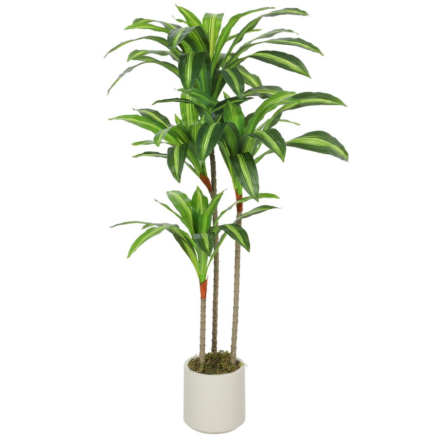 HOMCOM Künstlicher Dracaena-Baum 120 cm, Kunstpflanze Künstliche Pflanzen mit biegsamen Stämmen und weißem Pflanzgefäß für Wohnzimmer Schlafzimmer Büro   Aosom von HOMCOM