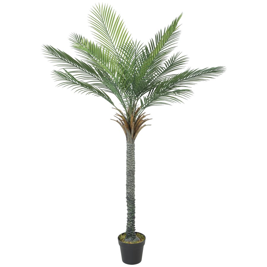 HOMCOM Künstliche Palme 180 cm Groß Kunstpalme Kunstpflanze im Topf wie echt Künstliche Pflanzen Zimmerpflanze für Wohnzimmer Balkon Büro Dekoration   Aosom von HOMCOM