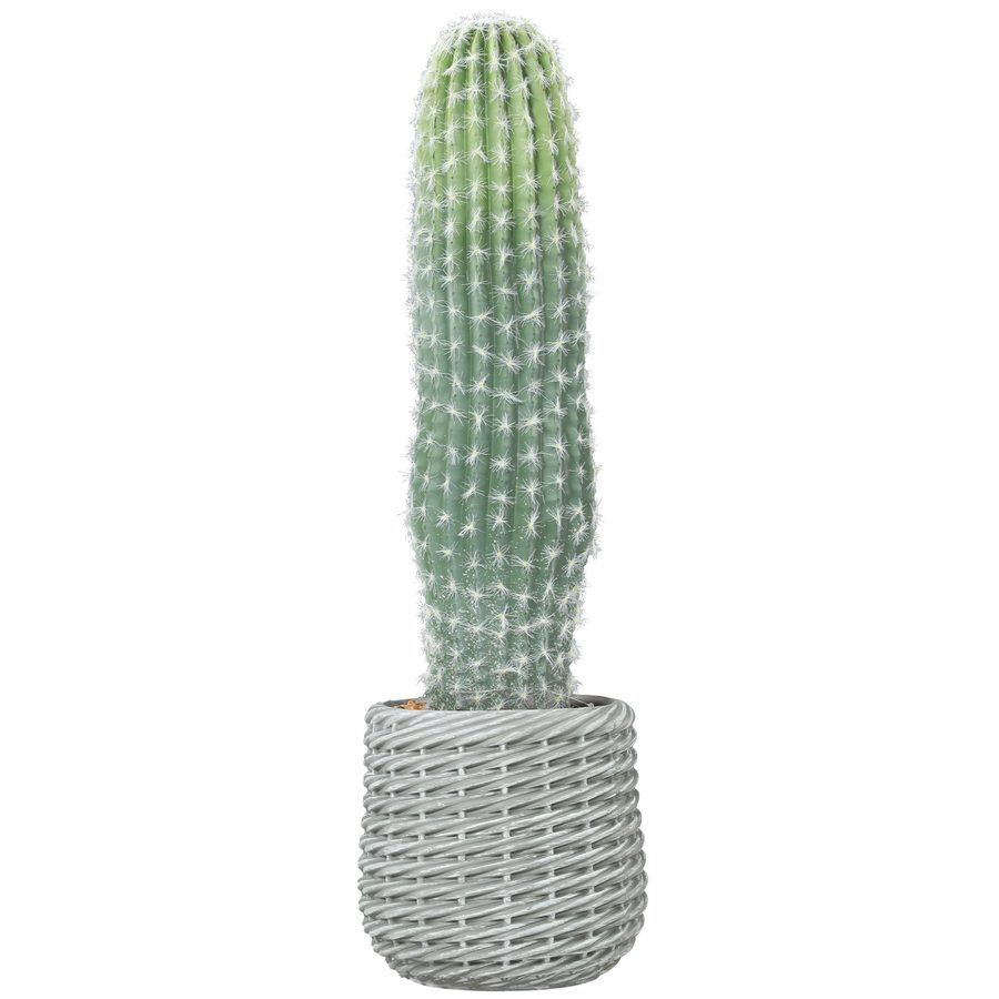 HOMCOM Künstlicher Kaktus 66 cm, dekorative Kunstpflanze mit Topf für Innendekoration, Zuhause, Büro, Wohnzimmer, Grün   Aosom von HOMCOM