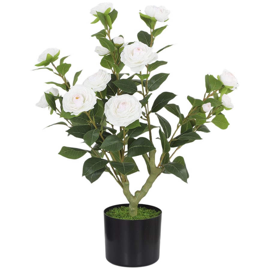 HOMCOM Künstliche Kamelie 65 cm, künstlicher Baum im Topf mit realistischen Seidenblüten, 116 Blätter und Moos-Effekt, dekorative Pflanze für Innen und Außen, Ø15x65 cm, Weiß   Aosom von HOMCOM