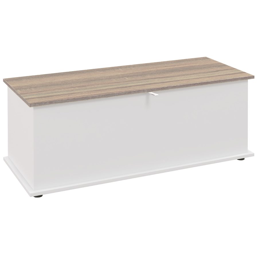 HOMCOM Aufbewahrungsbank 113 L mit Klappdeckel, Truhe für Wohn- & Eingangsbereich, Sitzbank, Weiß und Holzoptik   Aosom von HOMCOM