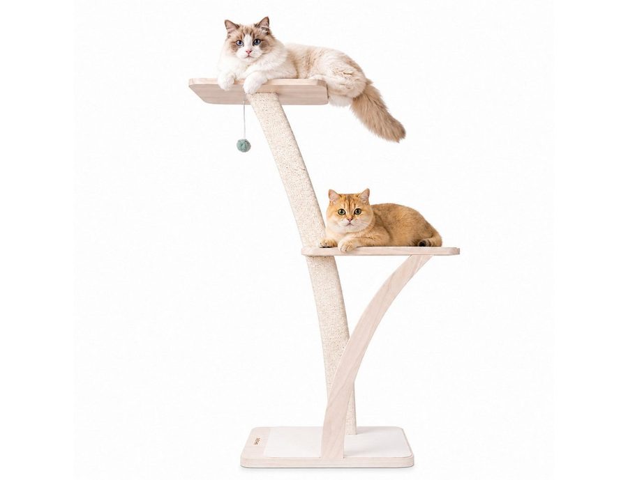 PetRhein Kratzbaum stilvoller Katzenbaum Coconut aus robustem Massivholz mit Plüschbällen, 2 Plattformen, Kletterbaum, Katzenmöbel mit Sisal, mit Spielzeug von PetRhein