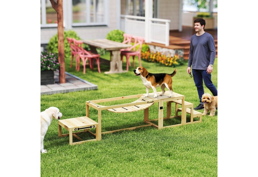 PawHut Agility-Hürde Hunde Agility-Ausrüstung mit Brücke, Treppe, Plattform, Tannenholz, Agility Set (3-tlg) für mittelgroße, große Hunde bis 40 kg, Naturholz von PawHut